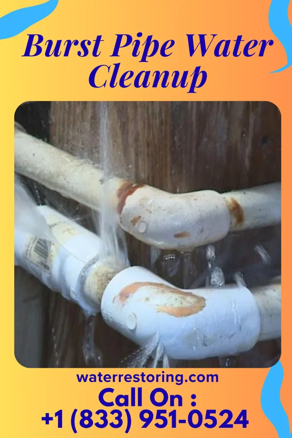 Burst Pipe Water Cleanup in Onaga, KS