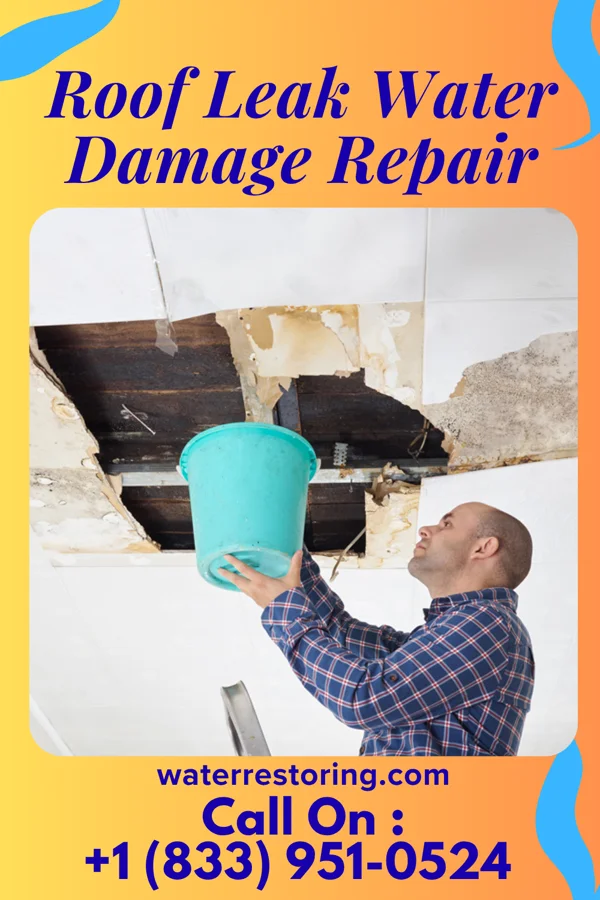 Roof Leak Water Damage Repair in Onaga, KS
